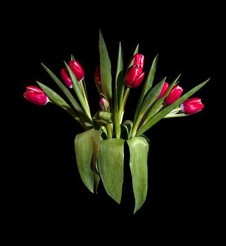Tulpen midden kleur van BAM