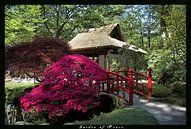 Japanese Garden van Rob Kuijper thumbnail
