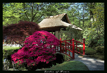 Japanese Garden