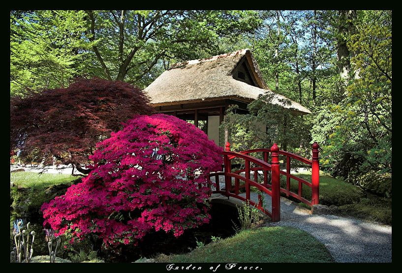 Japanese Garden par Rob Kuijper