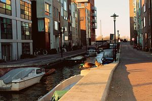 Amsterdam, Gracht. sur Aaron Goedemans