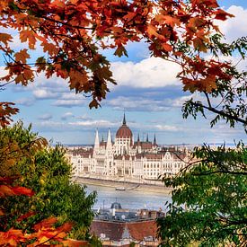 Budapest sur Voss photographie