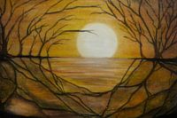 Midnight sun