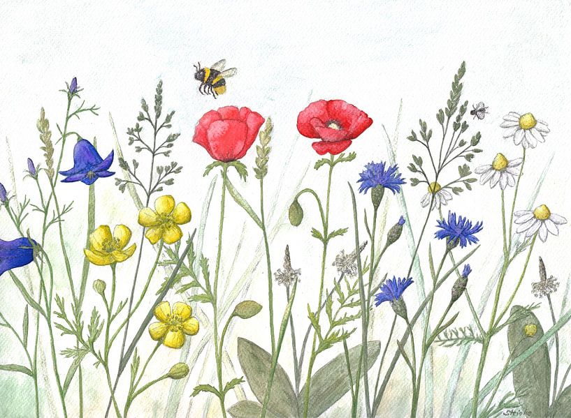 Bloemenweide van Sandra Steinke