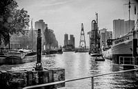 Leuvehaven, Harbour at Rotterdam, The Netherlands von Henry van Schijndel Miniaturansicht