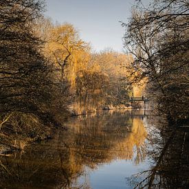 Winterpark in de zon van Mariette Kranenburg