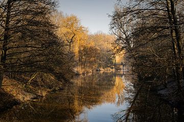 Parc d'hiver au soleil sur Mariette Kranenburg