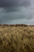 Donkere wolken boven de duinen