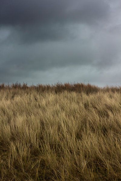 Donkere wolken boven de duinen by Arno Photo