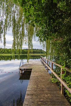 Bathing jetty in Seedorf am Schaalsee with trees