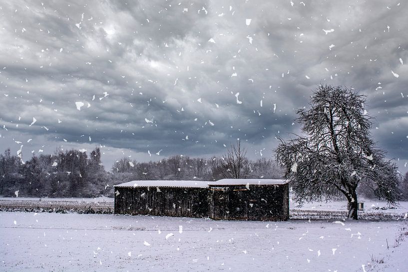 Besneeuwd landschap van Photoart-Naegele