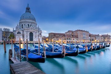 Gondolas at Santa Maria della Salute