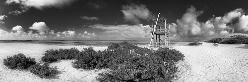 Caribisch strand op het eiland Bonair in zwart-wit.