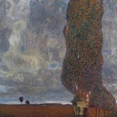 Hoher Baum im Nebel