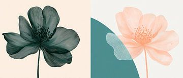 Blossoming contrasts - play of flowers Delicate shadows - colours by Poster Art Shop