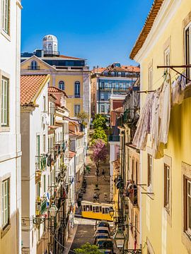 Funiculaire Elevador da Bica à Bairro Alto - Lisbonne sur Werner Dieterich