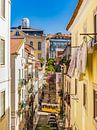 Elevador da Bica kabelbaan in Bairro Alto - Lissabon van Werner Dieterich thumbnail