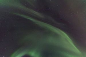 Northern Lights, Skulsfjord van Freek van den Driesschen
