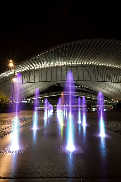 Station Guillemins te Luik par Patrick de Vleeschauwer