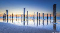 Palendorp Petten