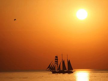 Sailboat on the horizon by On Your Wall