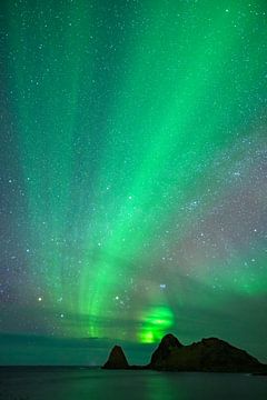 Noorderlicht of aurora boven het strand van Nykvag met een sterrenhemel i