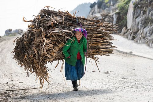 Hmong-Frau trägt große Last auf ihrem Rücken