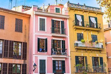 Palma de Mallorca, Spain Balearic Islands by Alex Winter