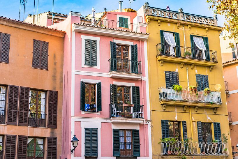 Palma de Mallorca, Espagne Îles Baléares par Alex Winter