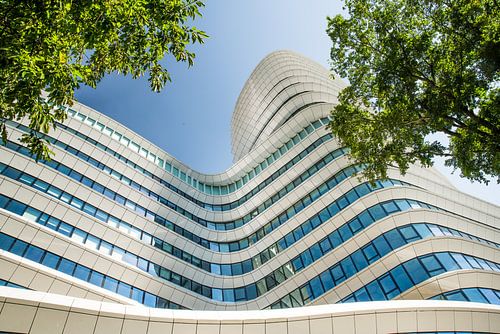 'Het Cruiseschip'DUO-Belastingdienst 