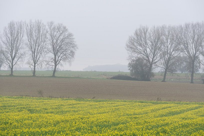 Autumn landscape with rapeseed field agriculture fields and bare van Werner Lerooy