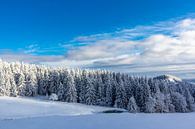 Winter Wonderland Thüringer Woud bij Schneekopf van Oliver Hlavaty thumbnail