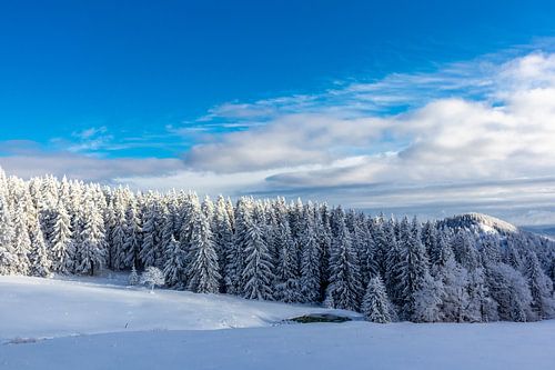 Merveilleux paysage hivernal de la forêt de Thuringe au Schneekopf