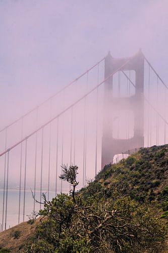 Le pont du Golden Gate apparaît