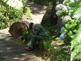 Lunchpauze voor tuinman in Botanischetuin op Madeira