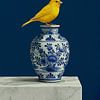 Minimalistisches Stilleben: Kanarienvogel auf Delfter Blau Vase von Studio Pieternel