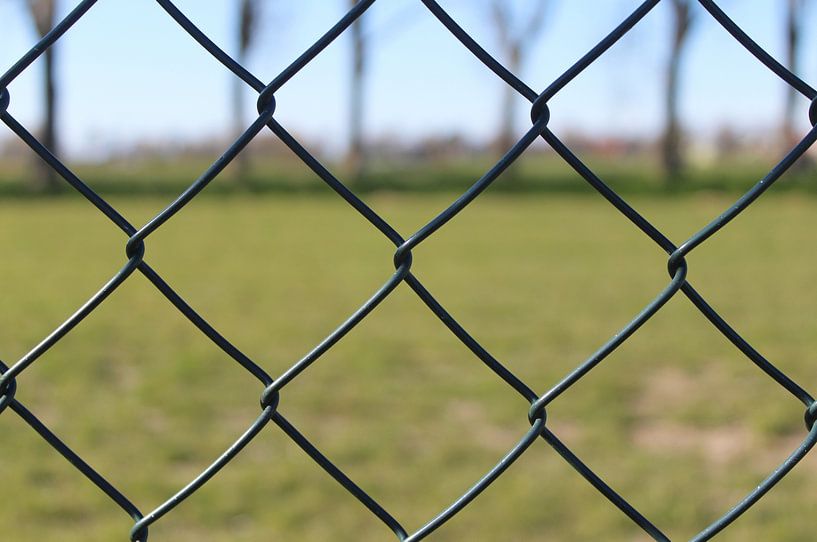 The grass across the street is always greener by Bodine