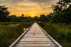 Sunset Walkway