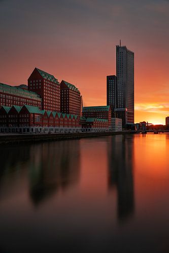 Kop van Zuid in Rotterdam