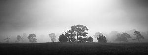 panorama noir et blanc d'un paysage dans le brouillard
