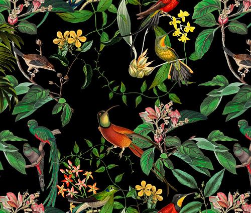 In the paradise of hummingbirds by Andrea Haase