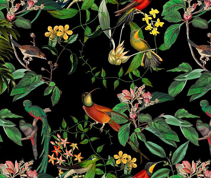 In het kolibrieparadijs van Andrea Haase