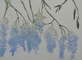 Wisteria von Frank van Veen