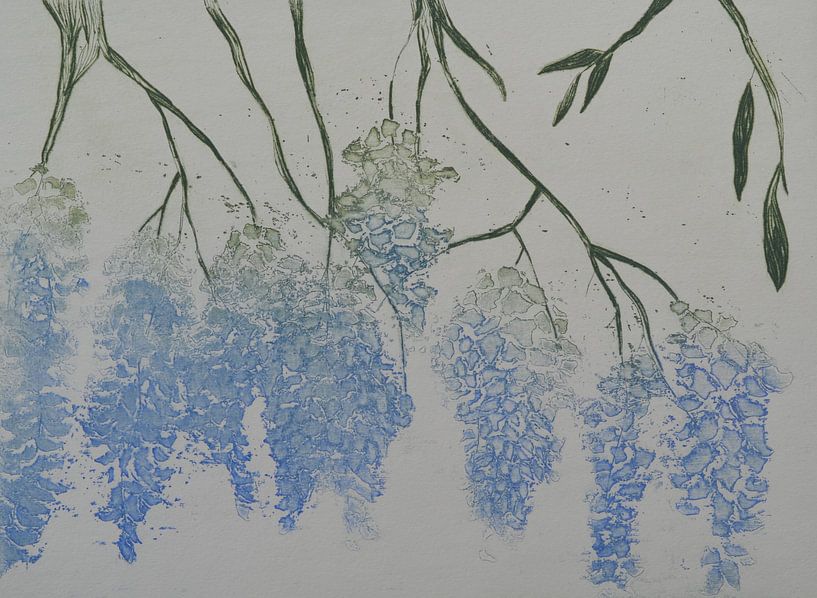 Wisteria by Frank van Veen