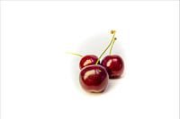 Les cerises de Wim