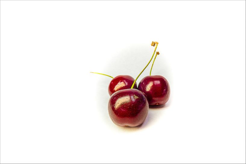 Cherries of Wim by René Roos