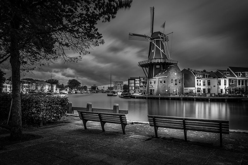 Haarlem by Jens Korte