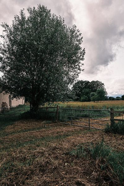 Motiv 2 – „Landleben“: Das Tor zur Stille von Momentaufnahme | Marius Ahlers