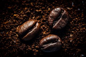 Makro Kaffeebohnen auf Kaffeepulver