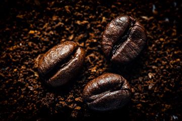 Macro coffee beans on coffee powder by Dieter Walther